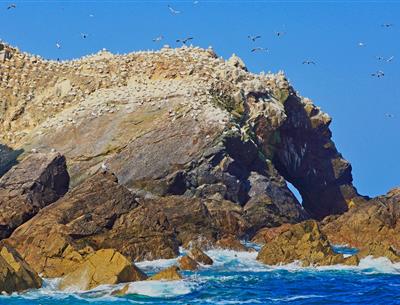 L'archipel des 7 îles au large de Perros-Guirec dans les Côtes-d'Armor