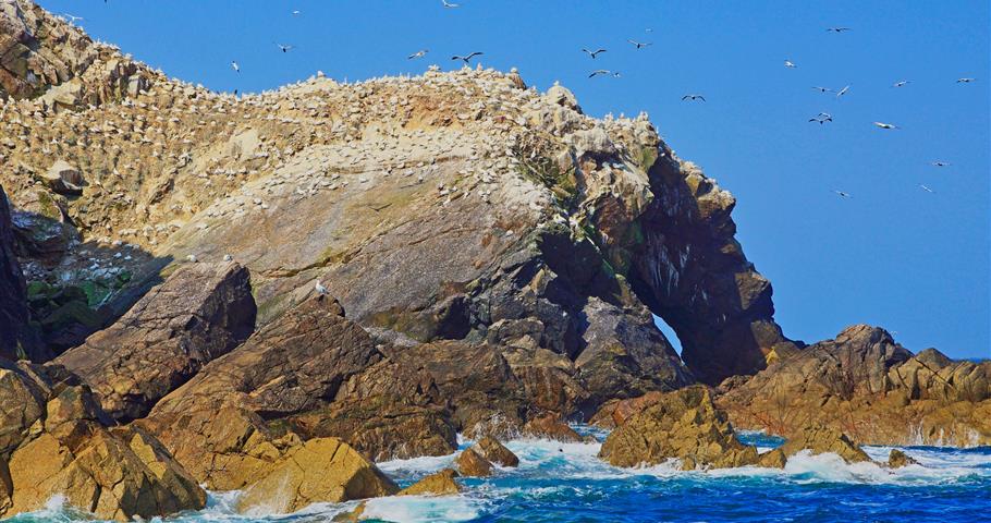 L'archipel des 7 îles au large de Perros-Guirec dans les Côtes-d'Armor